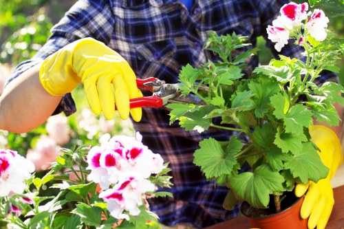 Gardener with clipboard inspecting a garden in Morden