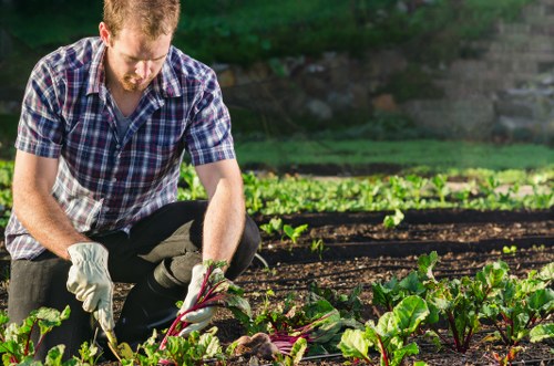 Volunteers and charity partners receiving reusable plants and soil for community projects