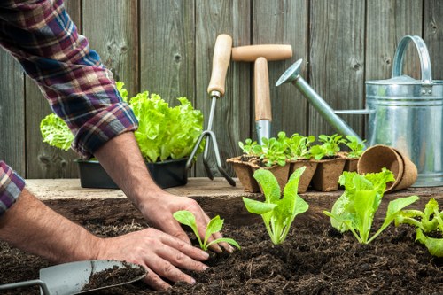 Gardener tidying a residential front garden in Morden