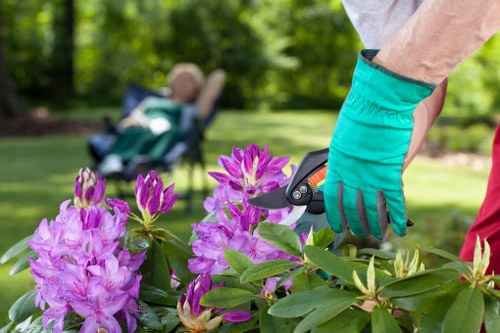 Gardener performing scheduled maintenance and pruning