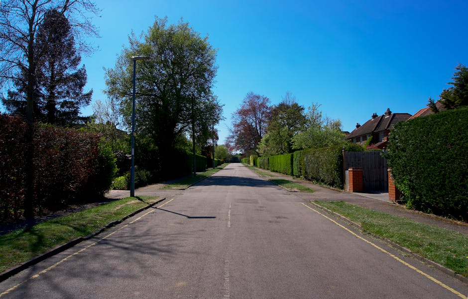 A quiet residential street in Morden with a straight asphalt road flanked by well-maintained garden hedges and trees. On the left side, a tall, leafy tree provides shade, casting a shadow on the pavem
