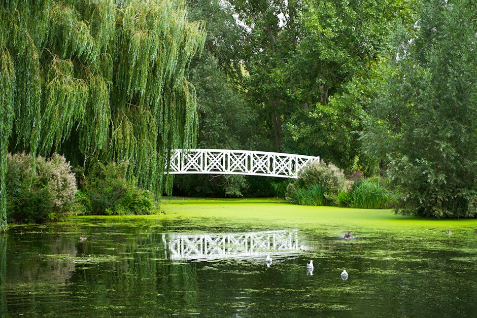 A lush, grassy landscape within Morden Hall Park, featuring a vibrant green lawn bordered by flower-filled garden beds with clusters of small white flowers and tall leafy plants. Several mature trees 