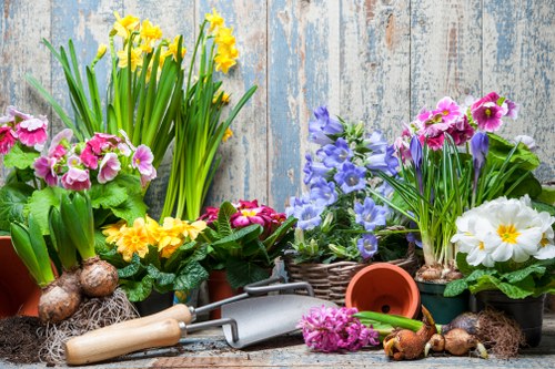 Urban green space with sustainable gardening practices